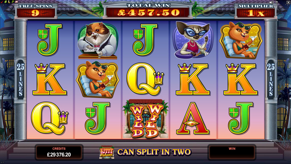 Play Kitty Cabana Slot Game: Get £€$100 FREE!