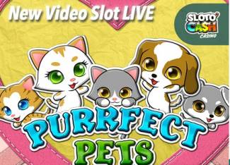 Sloto Cash Casino - 111% Bonus + 33 FS on Purrfect Pets 2017