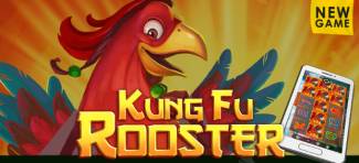 Slotastic Casino - Exclusive 100 FS Bonus Code on Kung Fu Rooster August 2017