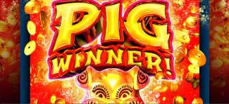 Sloto Cash Casino - 100 No Deposit Free Spins on Pig Winner (48 hours only)