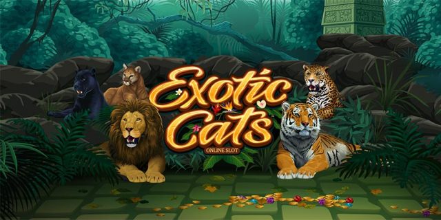 Play Exotic Cats and win £€$100 FREE @ 30 Microgaming Casinos