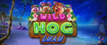 Sloto Cash Casino - Deposit $25 and Get 500 Free Spins on Wild Hog Luau July 2022