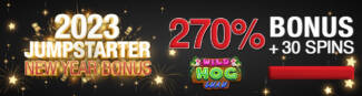 Spin Oasis Casino - 270% Deposit Bonus + 30 Free Spins on Wild Hog Luau