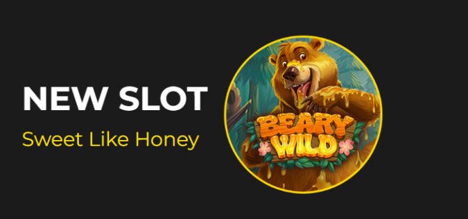 Slotastic Casino - Deposit $40 and get 100 Added Free Spins on Beary Wild